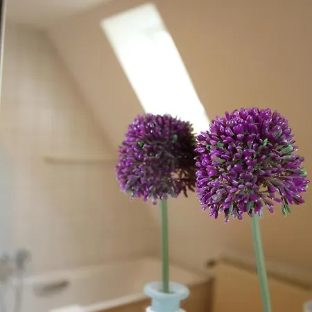 Appartementhotel Blomberger Hof アパートホテル