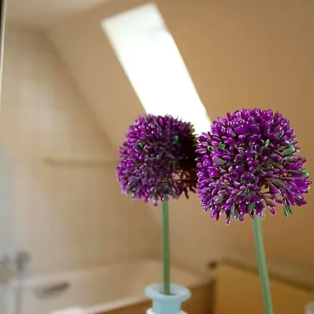 Appartementhotel Blomberger Hof アパートホテル ブロムベルク
