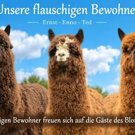 Appartementhotel Blomberger Hof 아파트호텔 3*