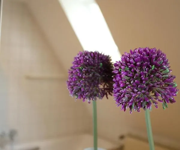 Appartementhotel Blomberger Hof Aparthotel